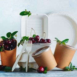 Είδη μιας χρήσης Θεσσαλονίκη castor clean